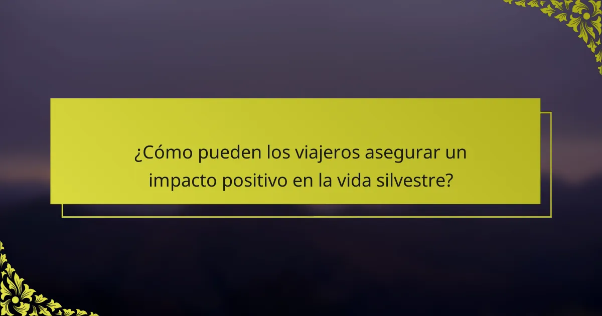 ¿Cómo pueden los viajeros asegurar un impacto positivo en la vida silvestre?