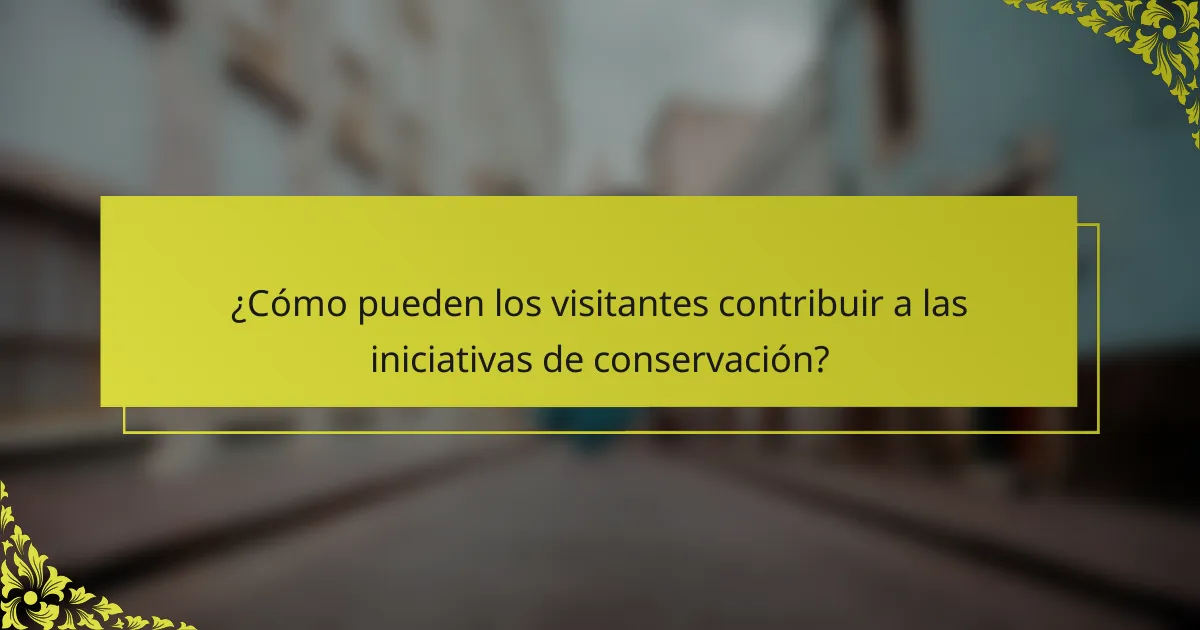 ¿Cómo pueden los visitantes contribuir a las iniciativas de conservación?