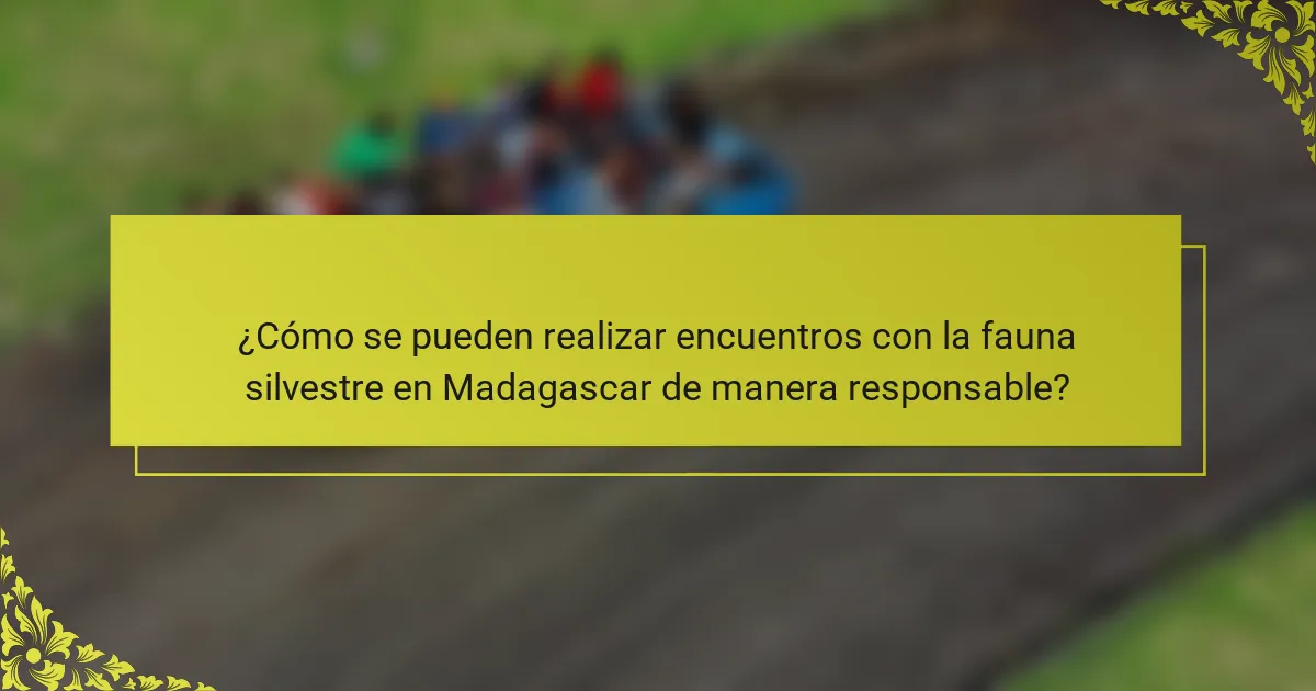 ¿Cómo se pueden realizar encuentros con la fauna silvestre en Madagascar de manera responsable?