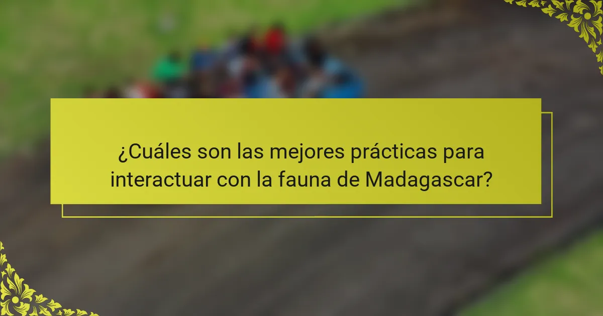 ¿Cuáles son las mejores prácticas para interactuar con la fauna de Madagascar?