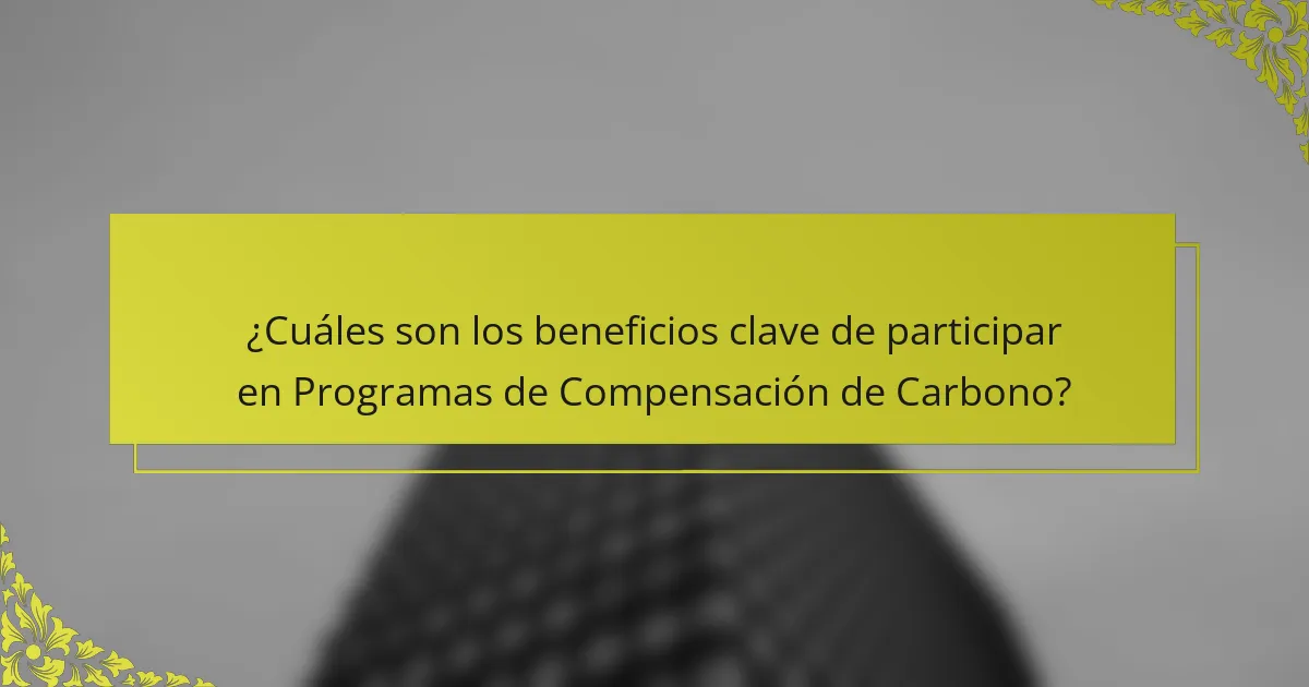 ¿Cuáles son los beneficios clave de participar en Programas de Compensación de Carbono?