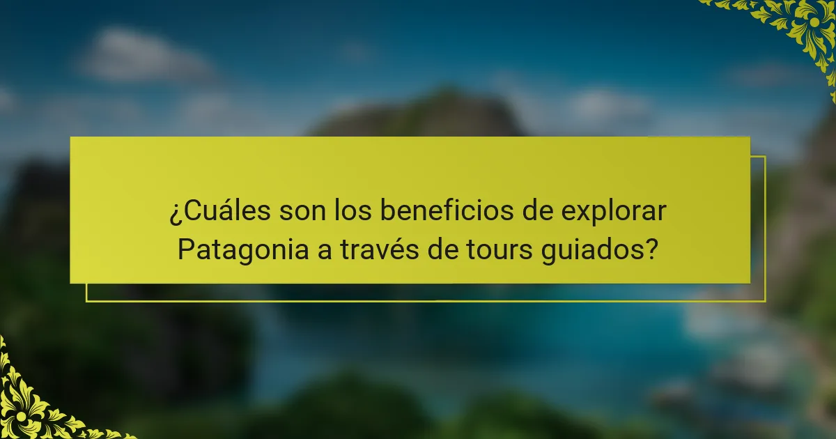 ¿Cuáles son los beneficios de explorar Patagonia a través de tours guiados?