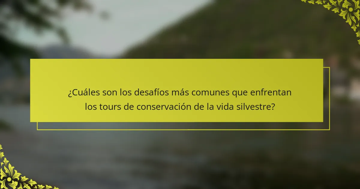 ¿Cuáles son los desafíos más comunes que enfrentan los tours de conservación de la vida silvestre?