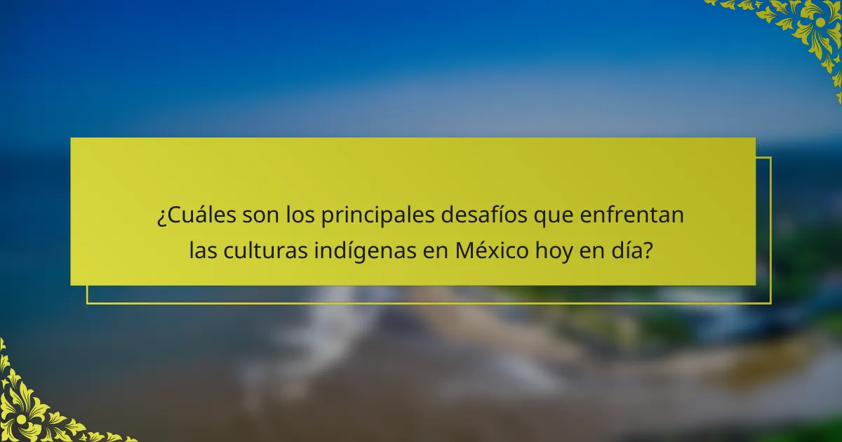 ¿Cuáles son los principales desafíos que enfrentan las culturas indígenas en México hoy en día?