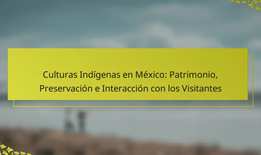 Culturas Indígenas en México: Patrimonio, Preservación e Interacción con los Visitantes