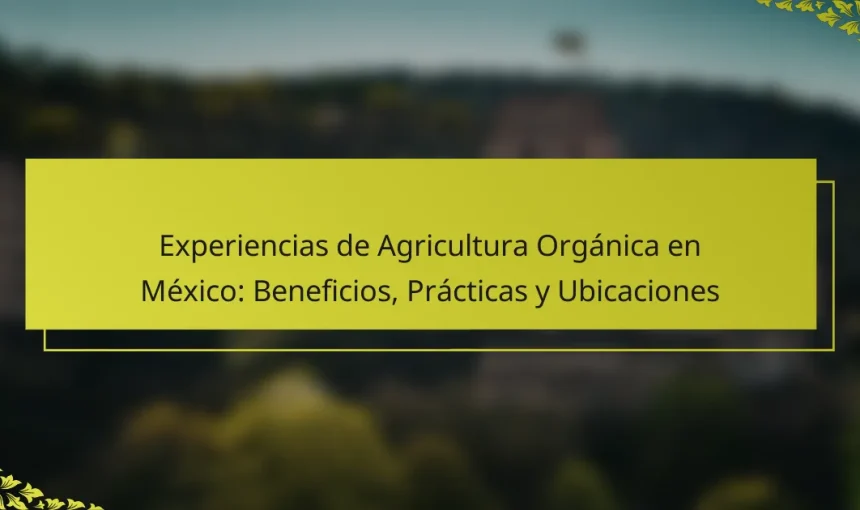 Experiencias de Agricultura Orgánica en México: Beneficios, Prácticas y Ubicaciones