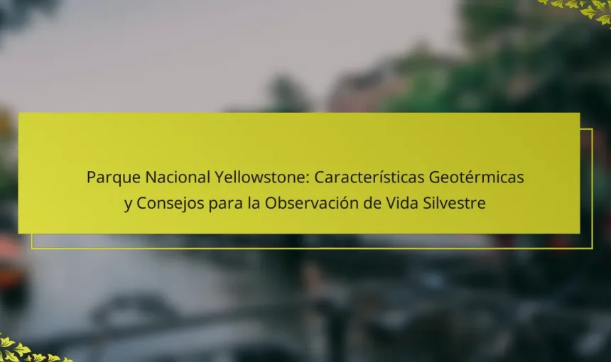 Parque Nacional Yellowstone: Características Geotérmicas y Consejos para la Observación de Vida Silvestre