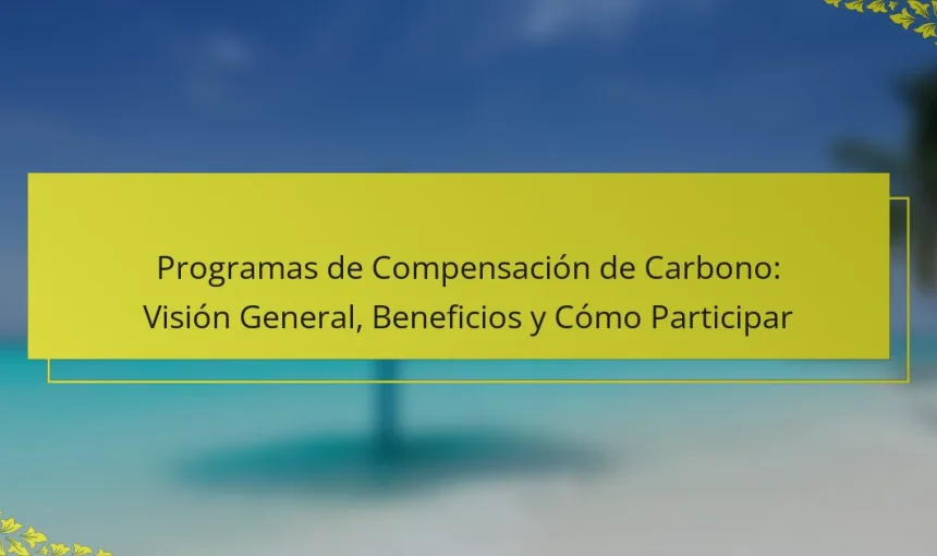 Programas de Compensación de Carbono: Visión General, Beneficios y Cómo Participar