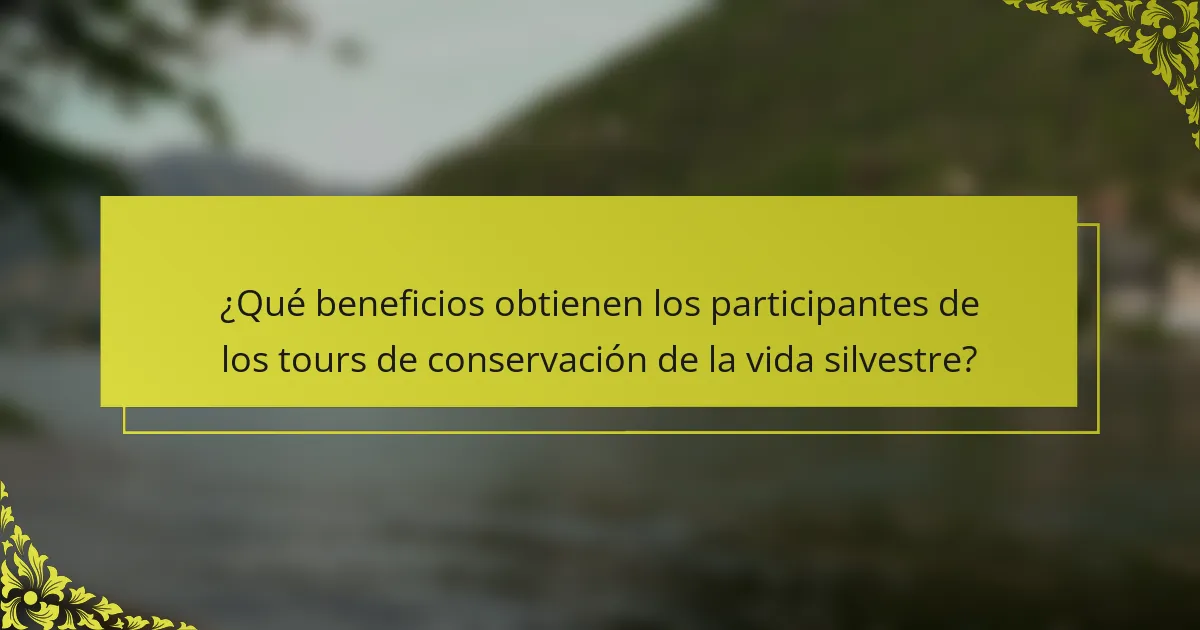¿Qué beneficios obtienen los participantes de los tours de conservación de la vida silvestre?