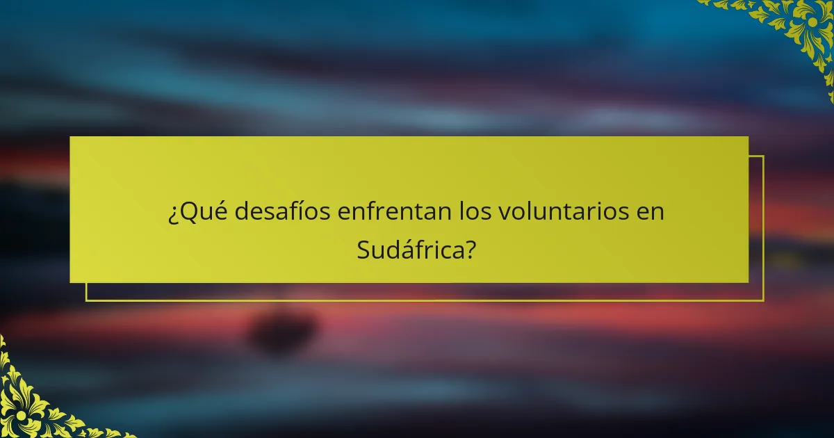 ¿Qué desafíos enfrentan los voluntarios en Sudáfrica?