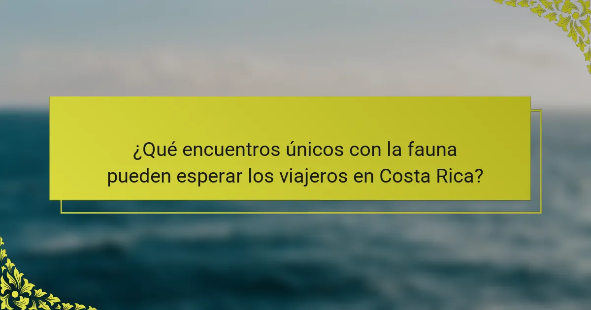 ¿Qué encuentros únicos con la fauna pueden esperar los viajeros en Costa Rica?